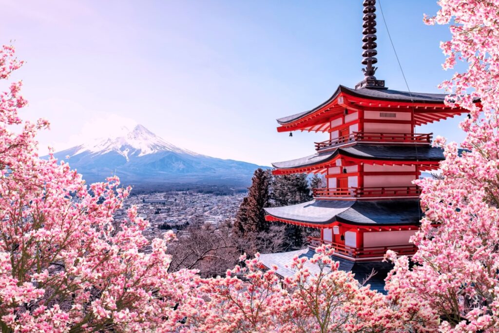 Giappone: Sakura Tour